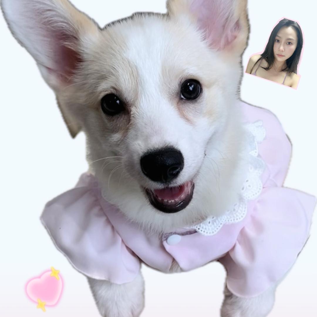 纯情大母猴火辣辣