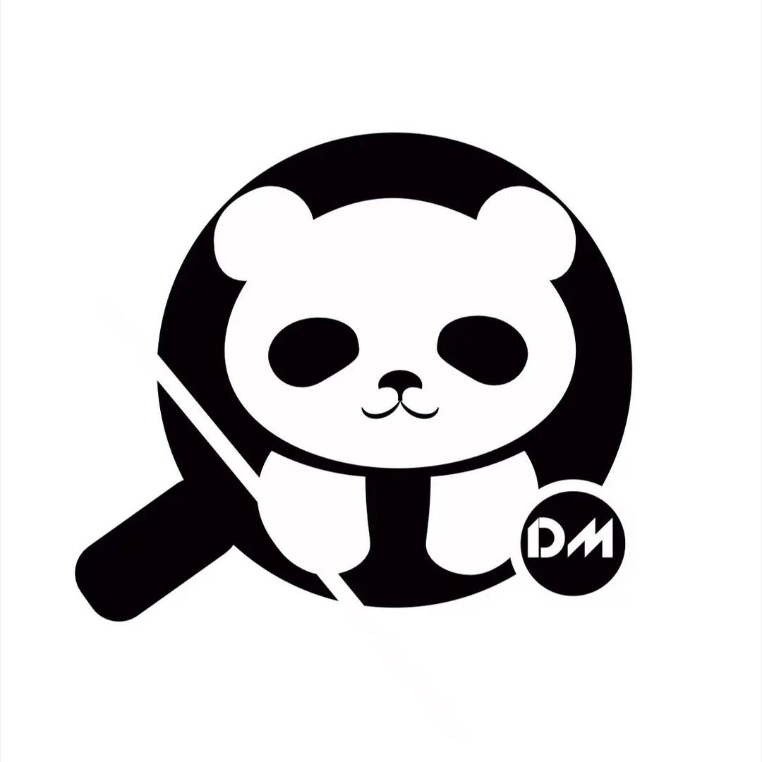 DM少儿乒乓