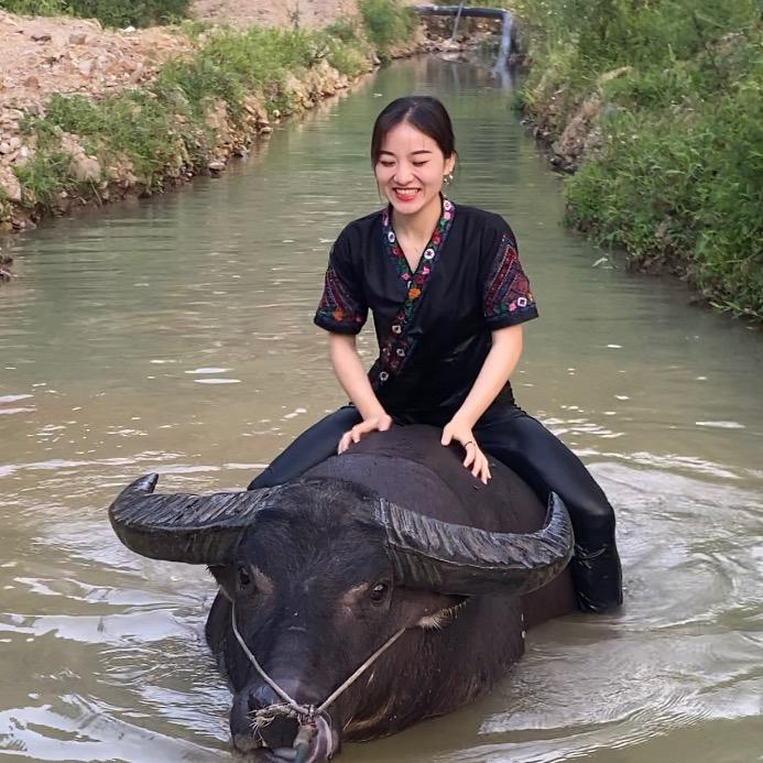 文叶.牛妹🐮
