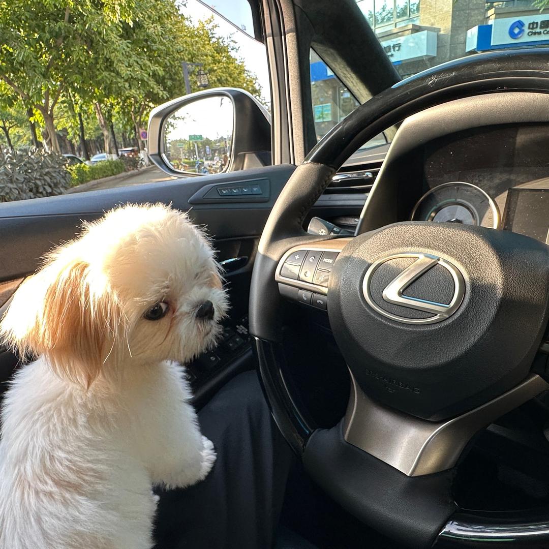 幕林啊