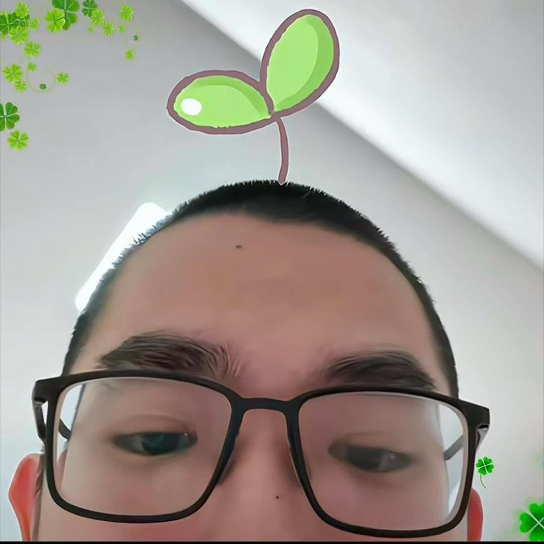 ᵛ
