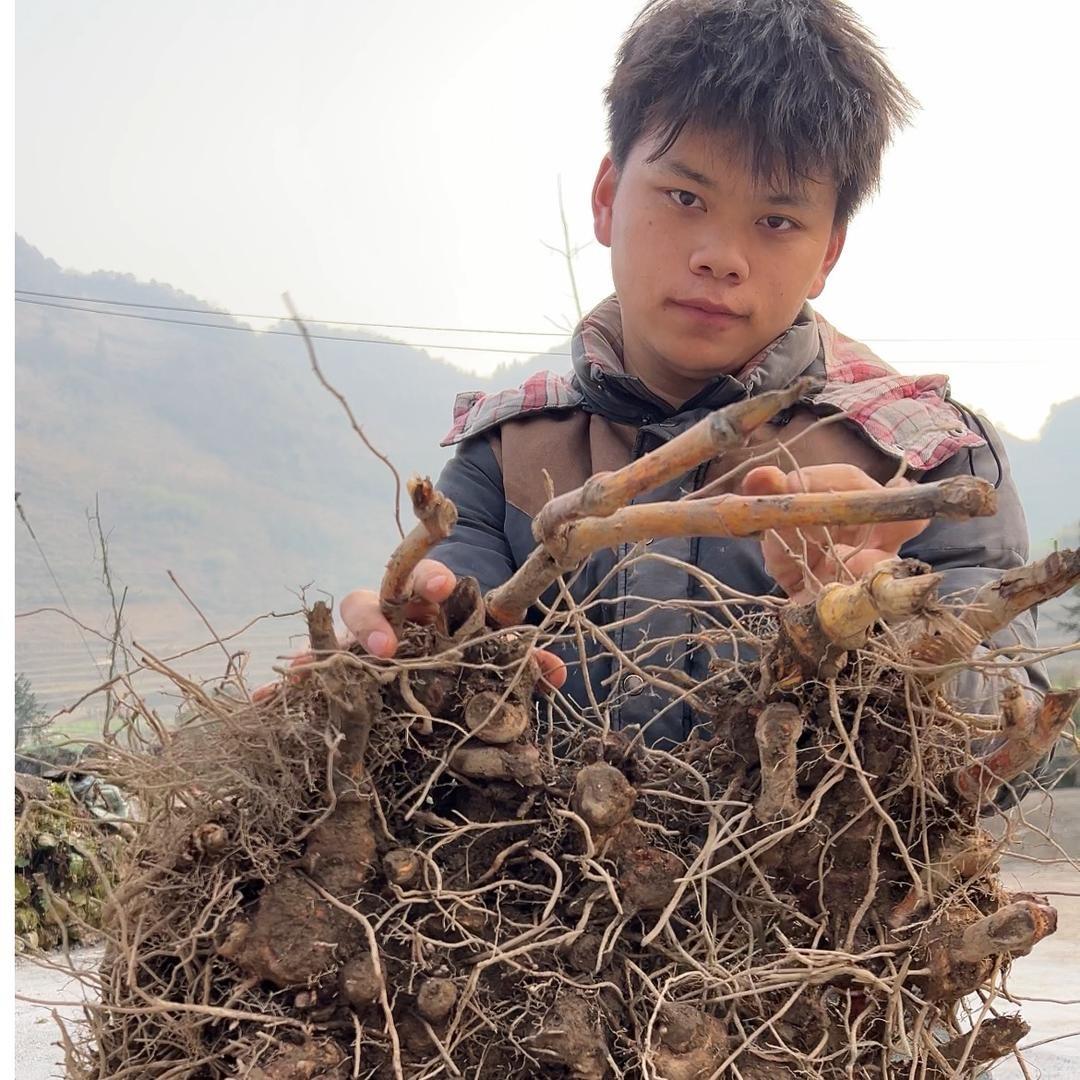 云南山货
