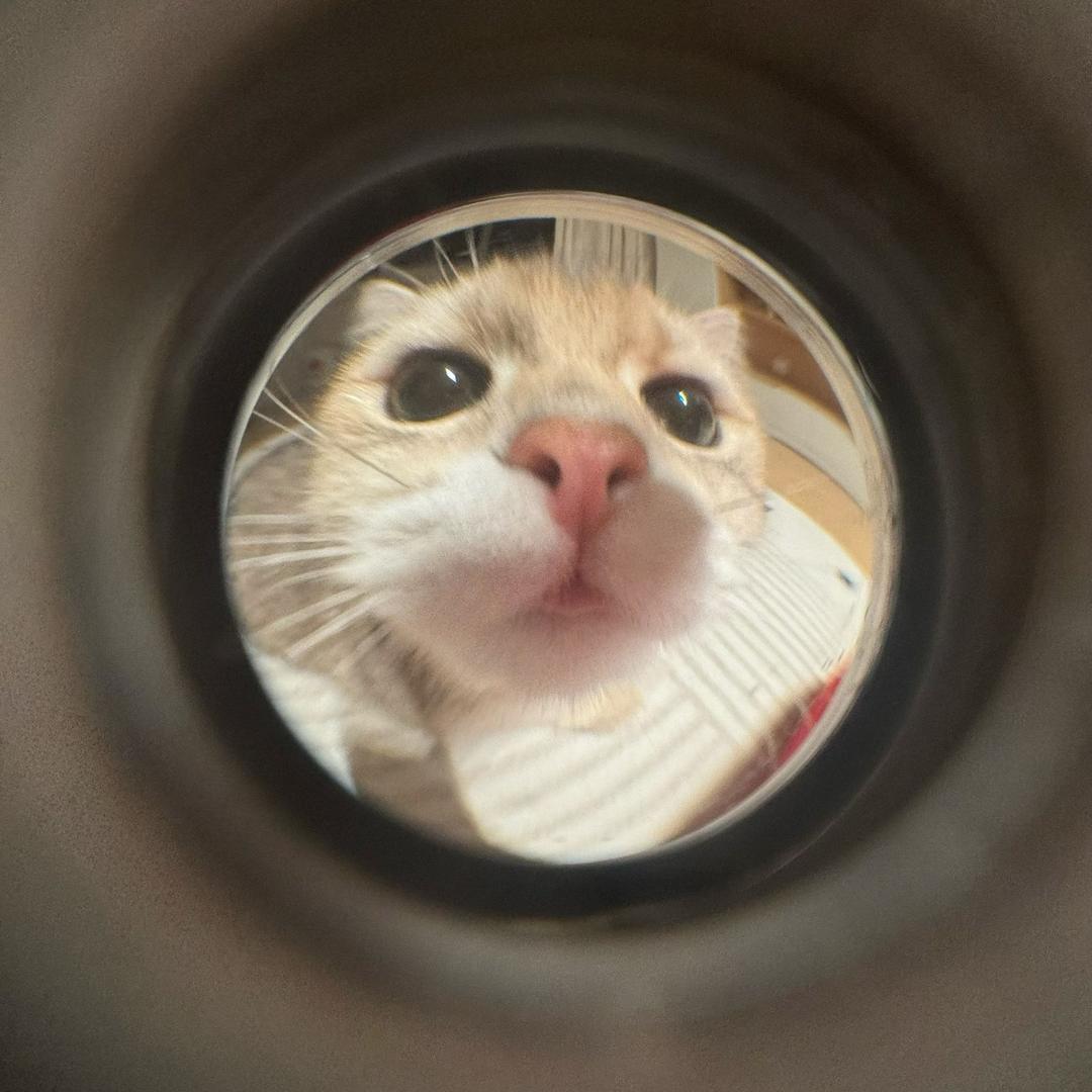 十十十十十十一