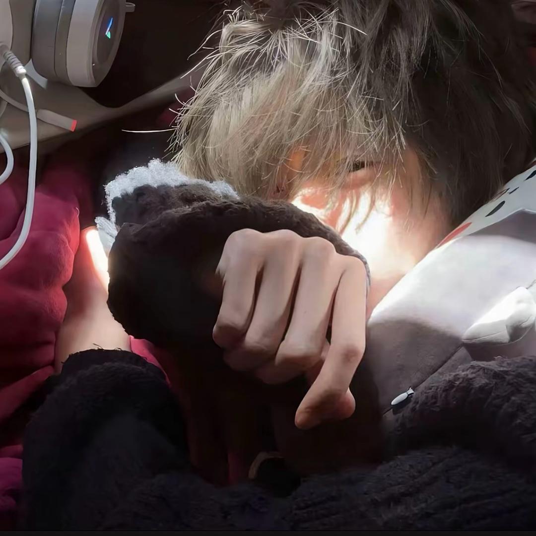 .Felix.