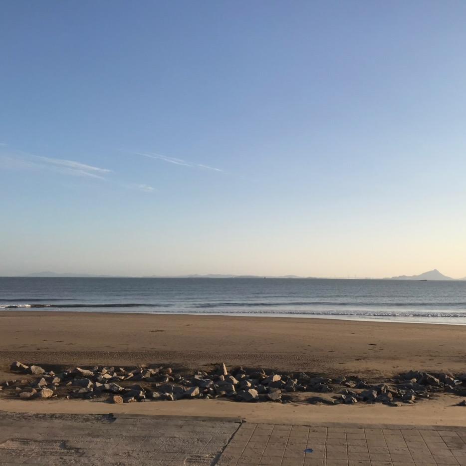 海藻海藻