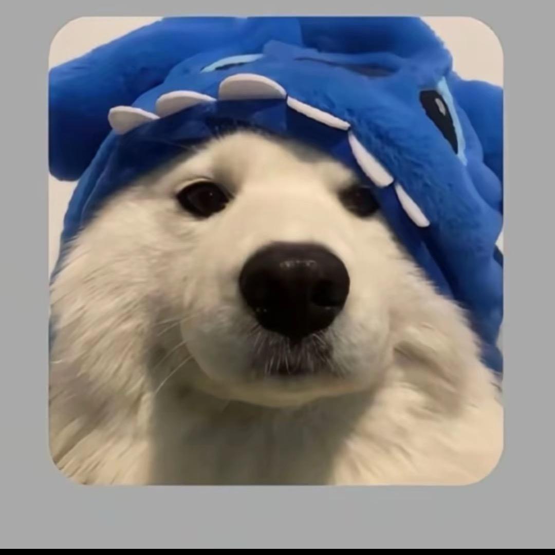不作怪了