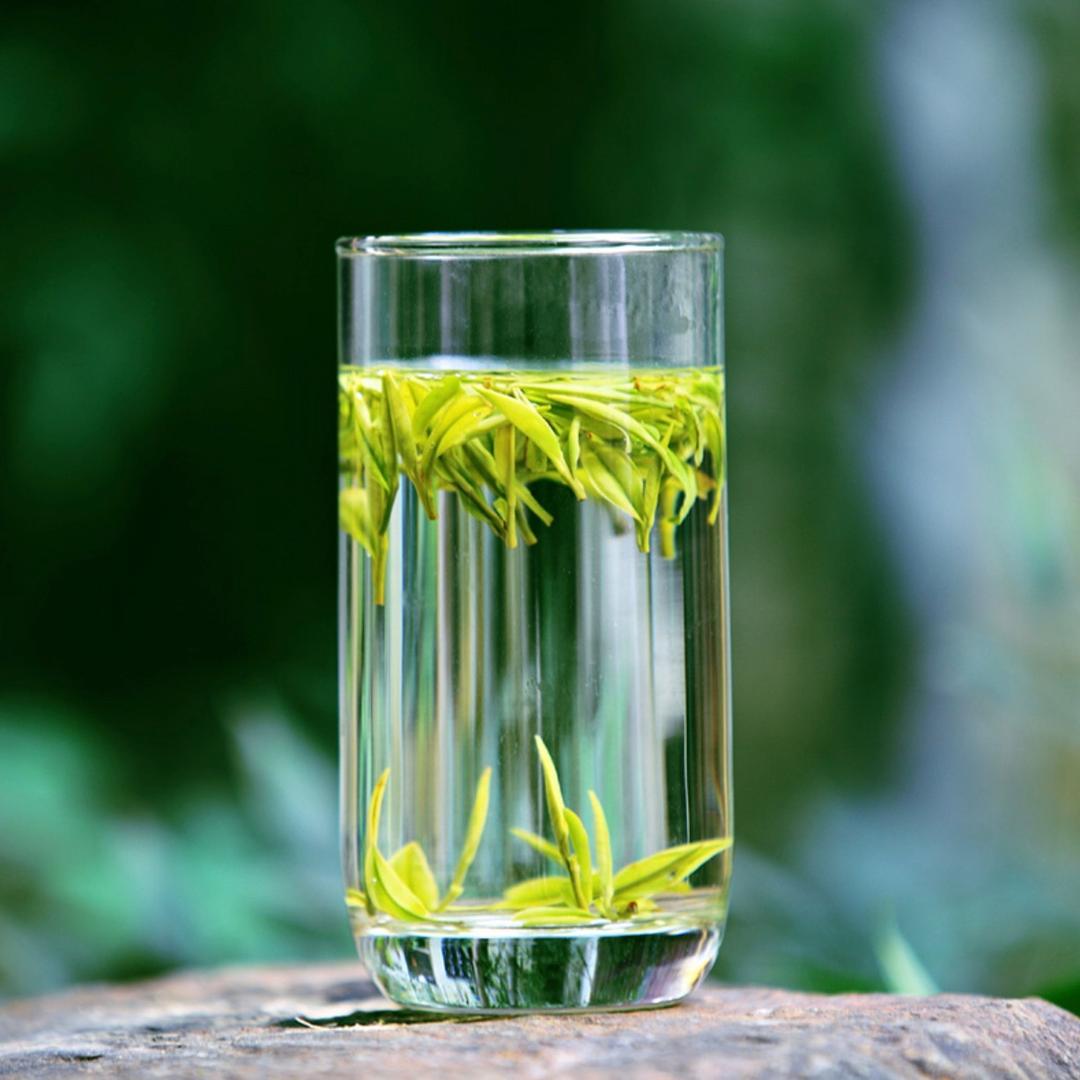 鹏诺茶业