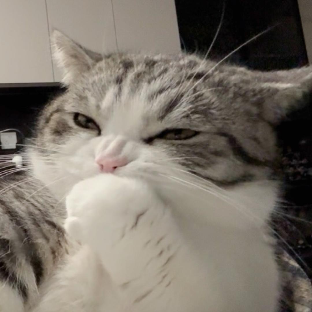 花臂猛男毛肚