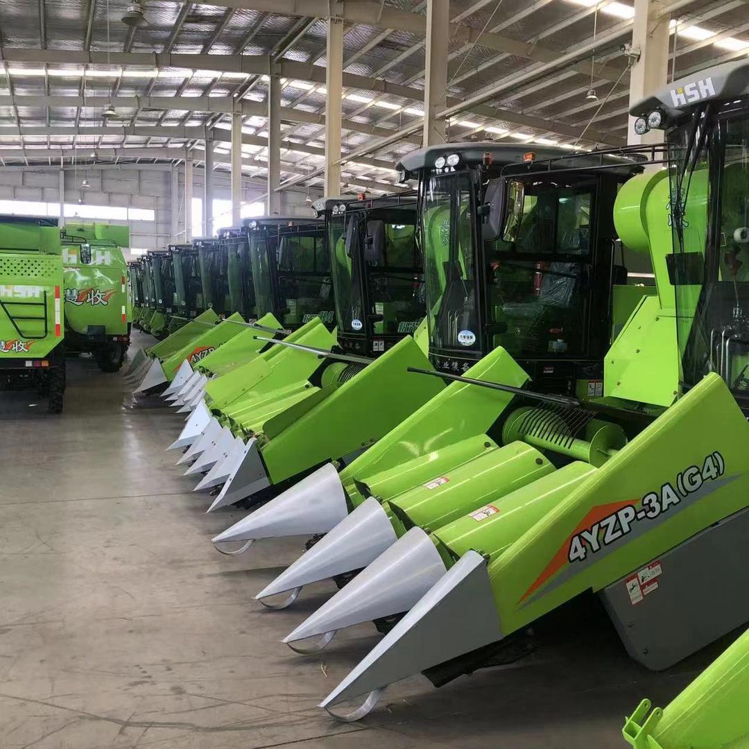 烟台泰阳国际投资发展集团有限公司