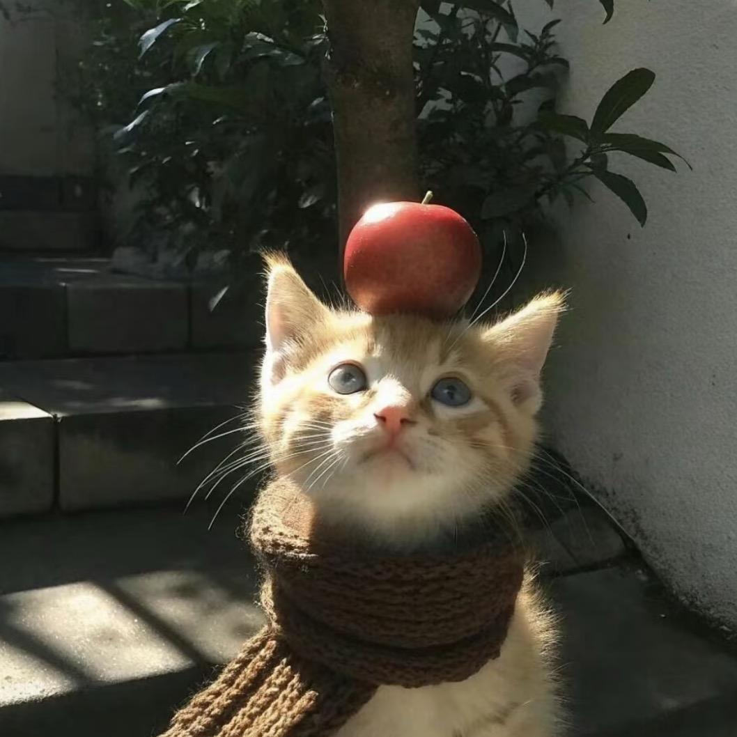 理一下我啦