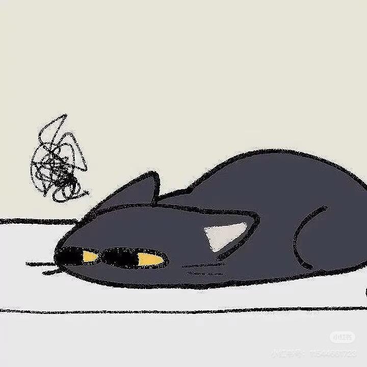 why。。。