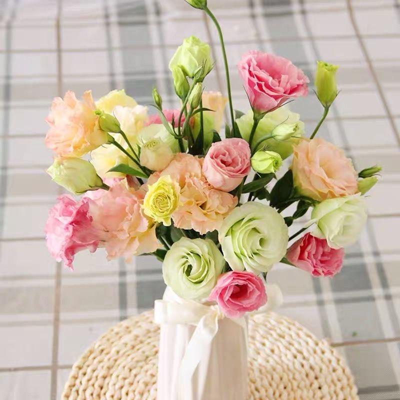 广州眉之翼拉线眉笔工厂直销