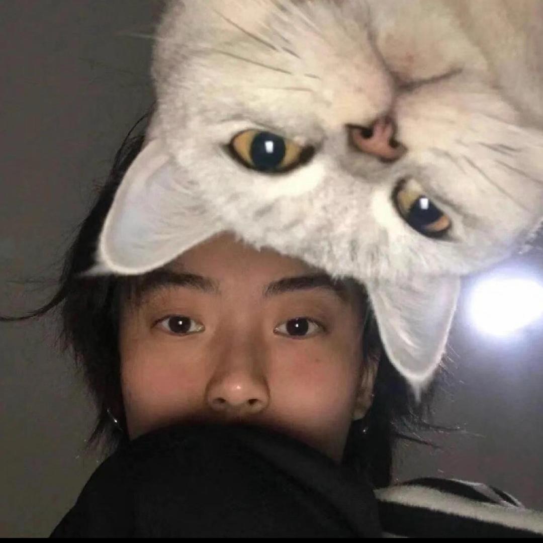孤岛日记