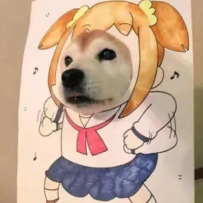 有点甜狗