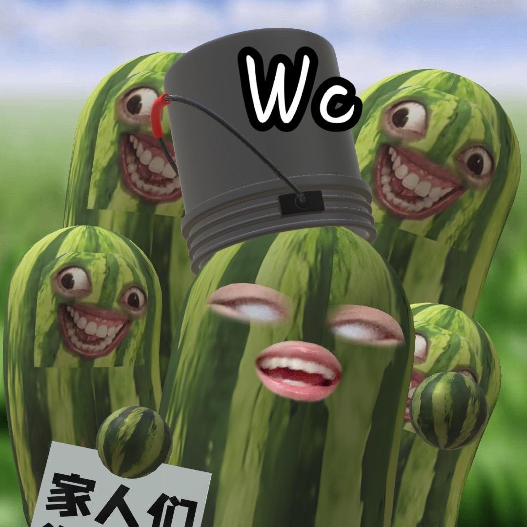 大葱米
