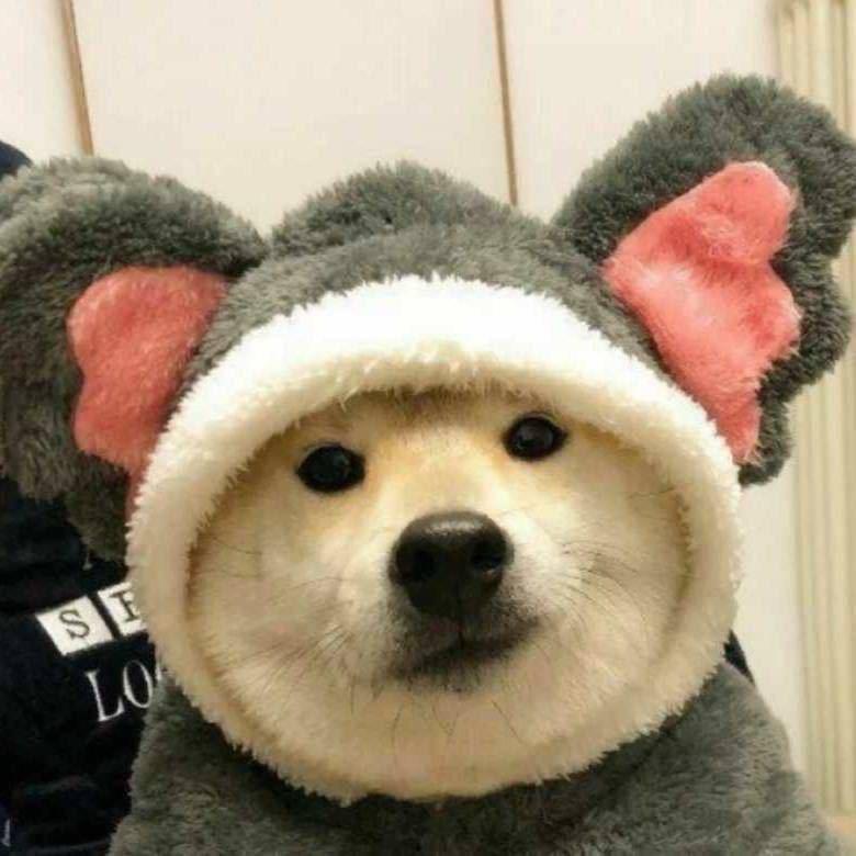 福鵞蘙䃚