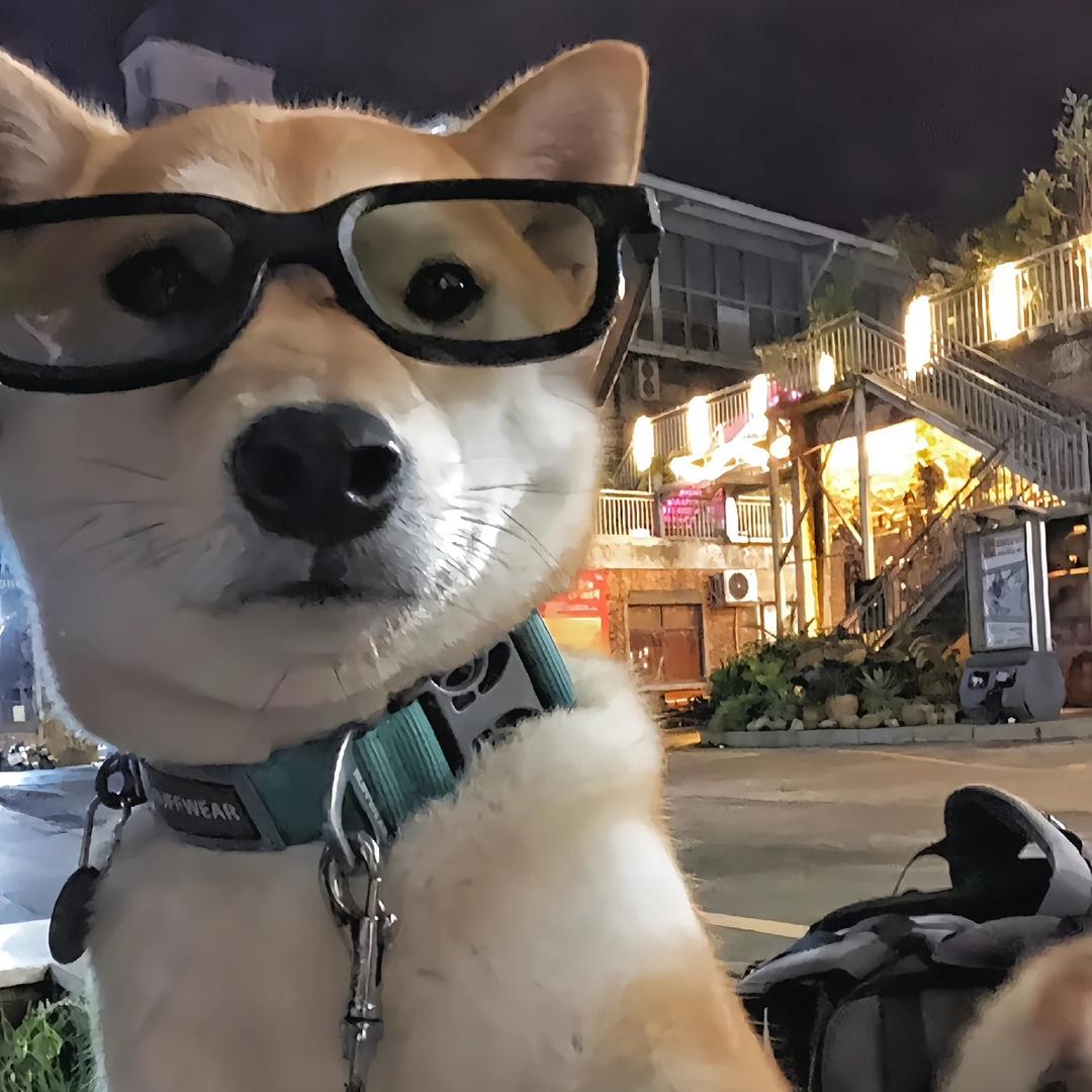 铃铛.