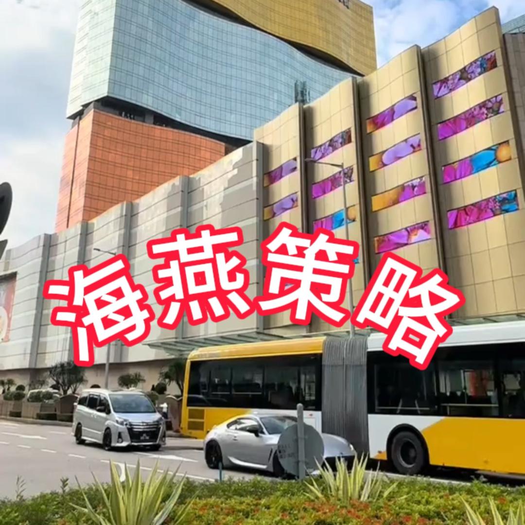 海燕策略