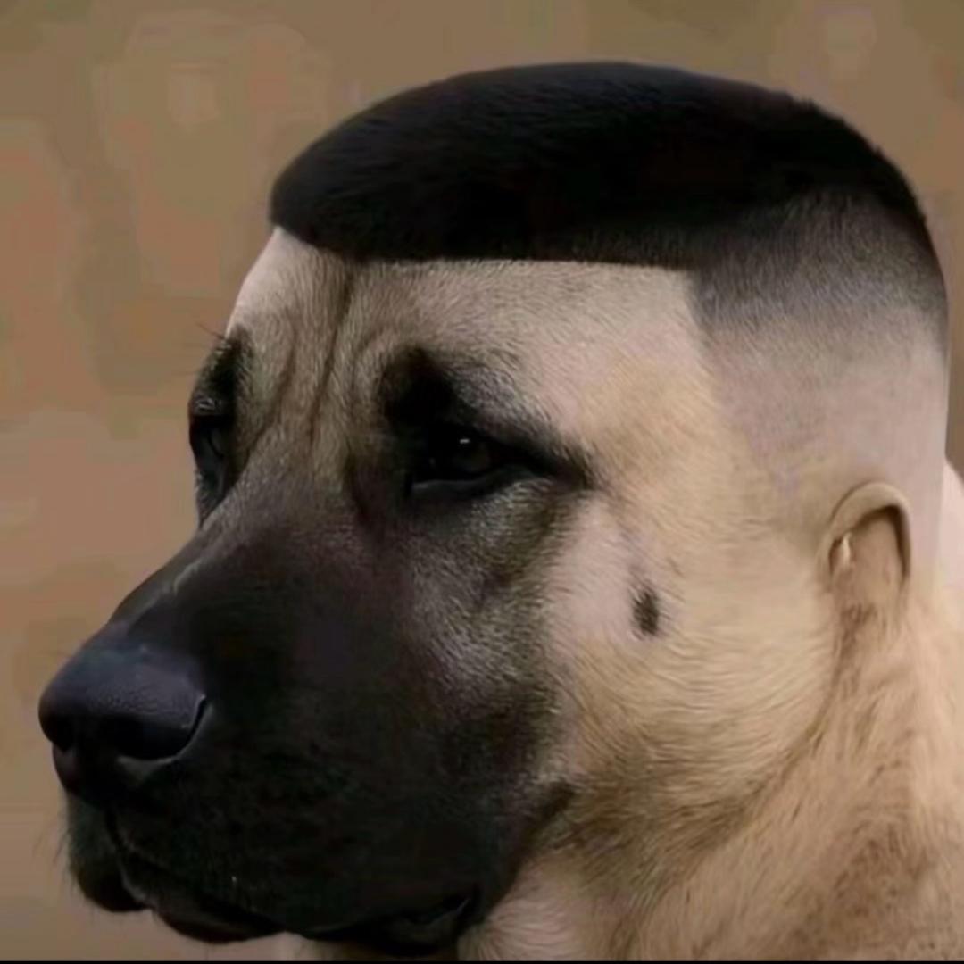 嘟嘟༧