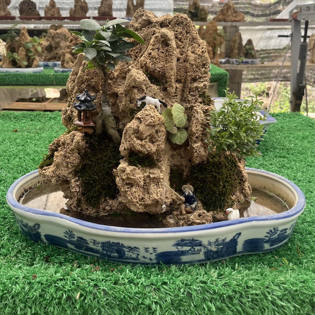 刁刁盆景园艺