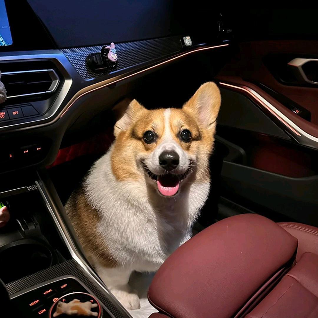 ￴ㅤ￴￴ ￴￴￴ㅤ￴￴紅豆