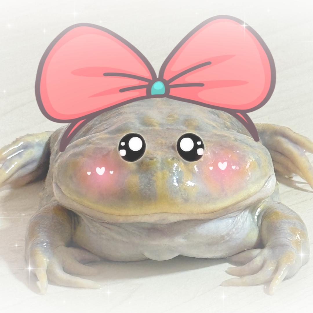 🎀布丁奶茶呢🎀