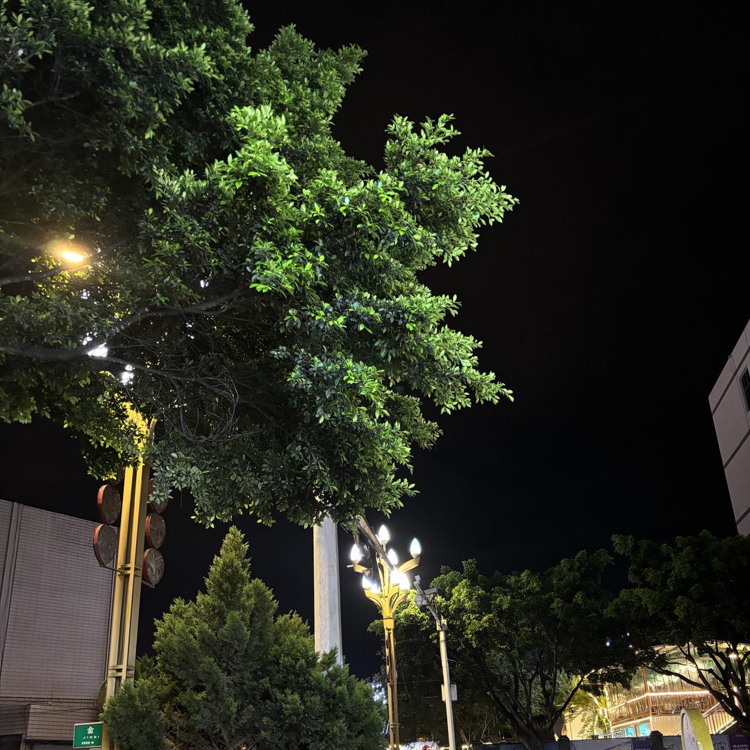 绍兴造梦摄影团购号