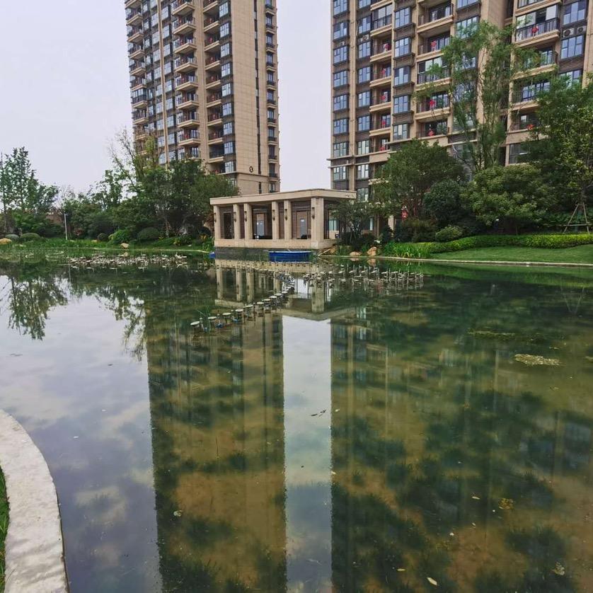 奋斗小徐—聊天主播