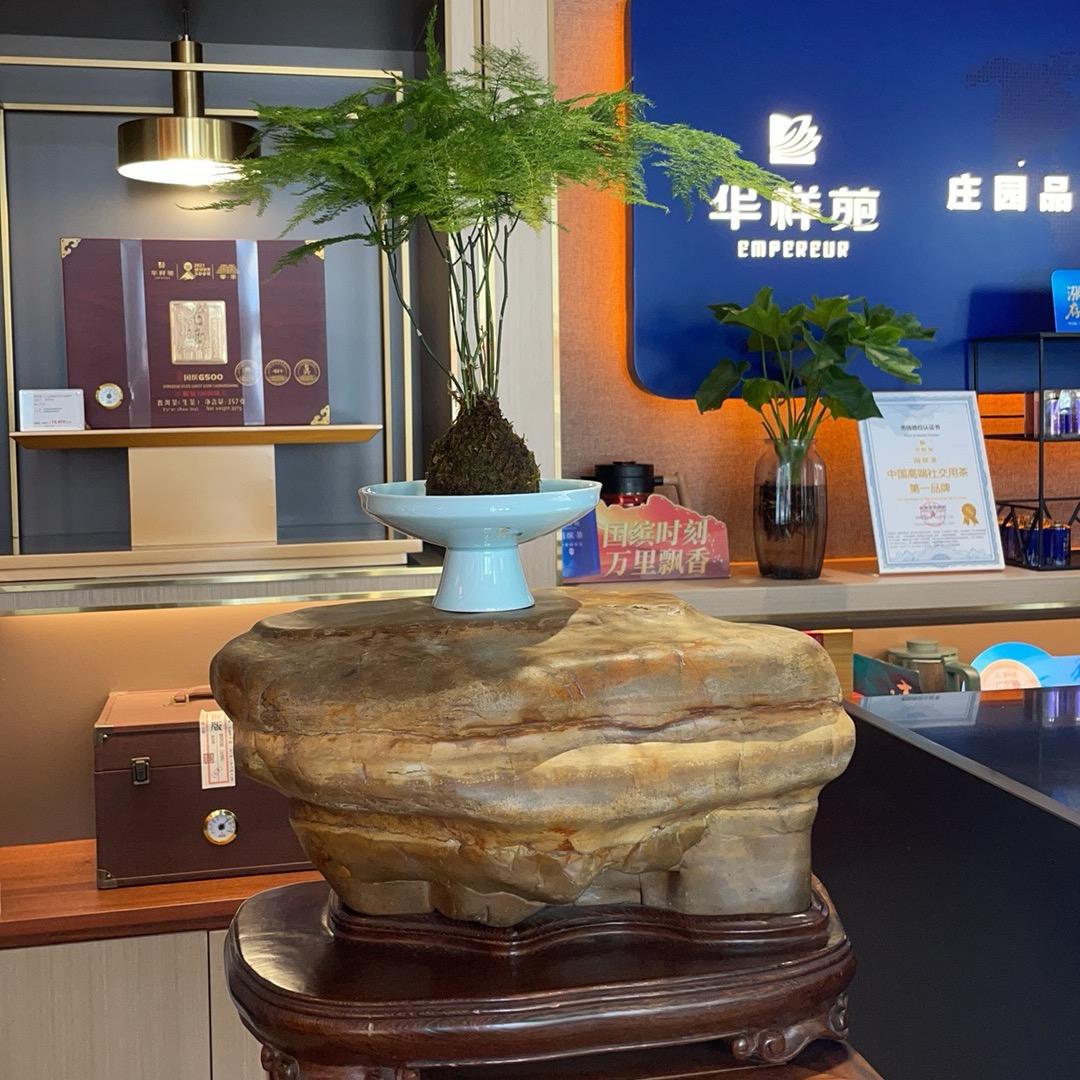 这个大叔有点冷