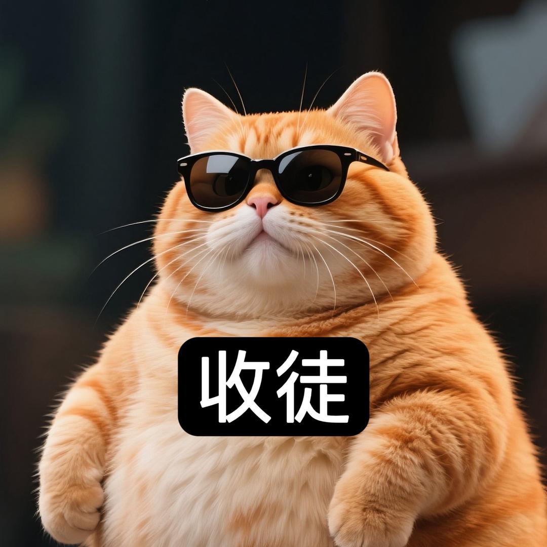 胖橘猫猫（收徒）