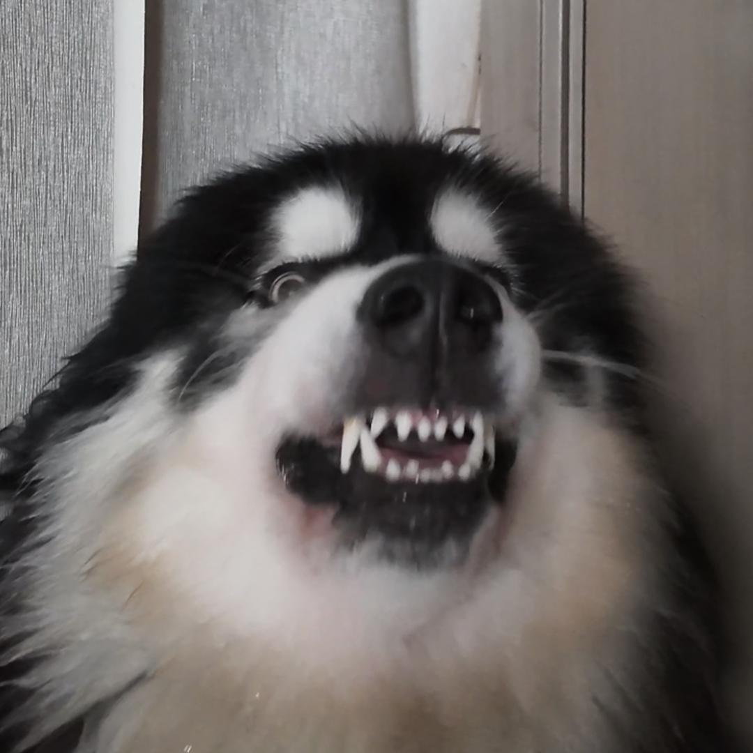 艺凝啊。