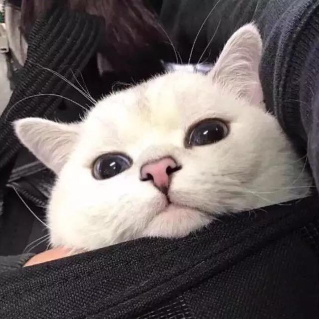 WH.