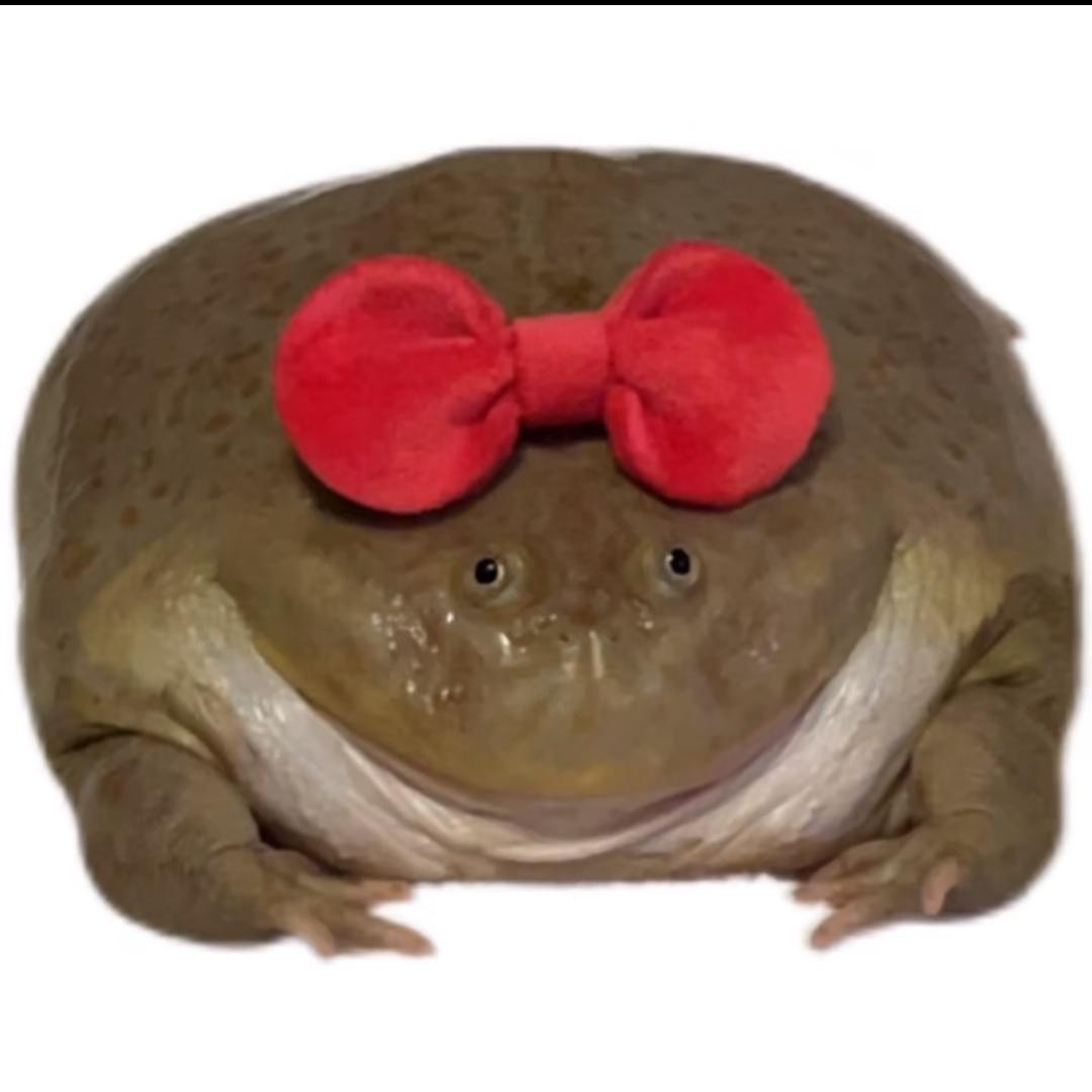 忧郁旺旺雪饼🥕