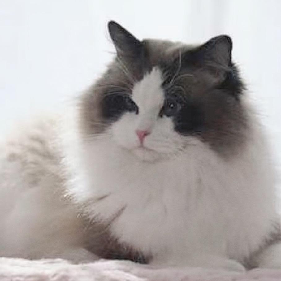 彩虹❤️