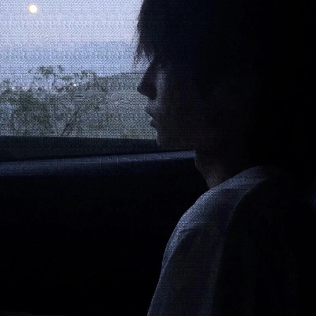 羊