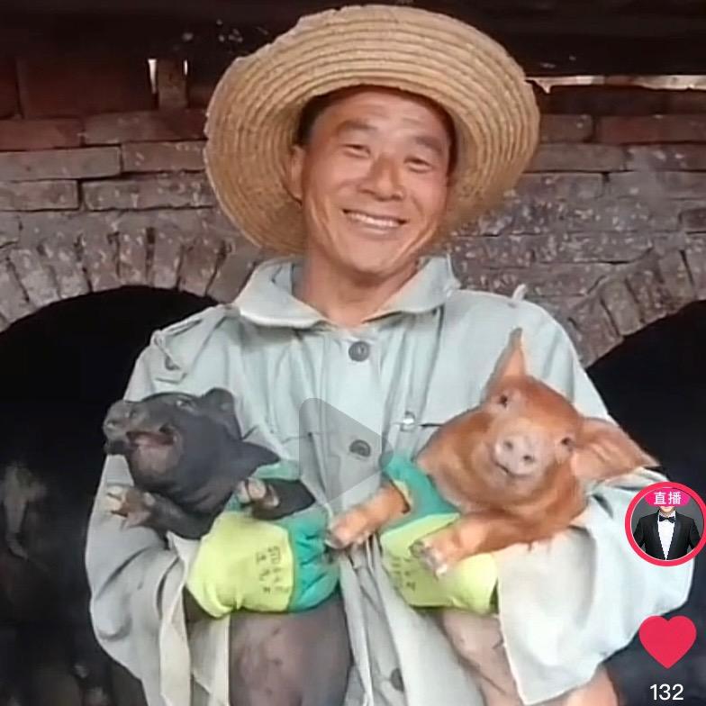 县工养殖阁哥