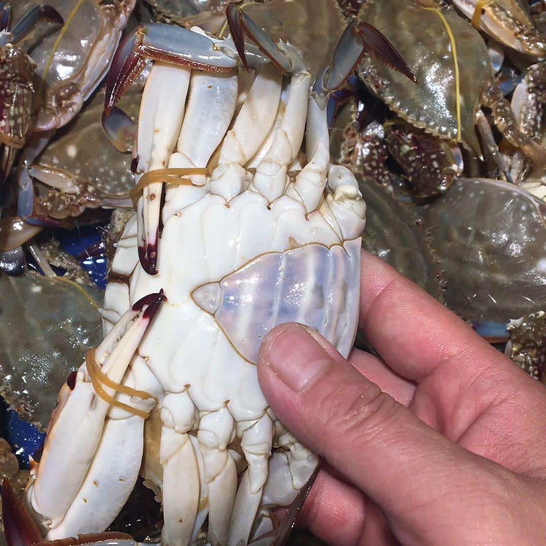 小岳岳海鲜（个体工商户）