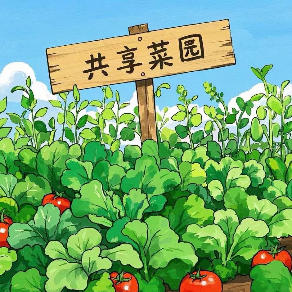 南湖共享菜园🥬