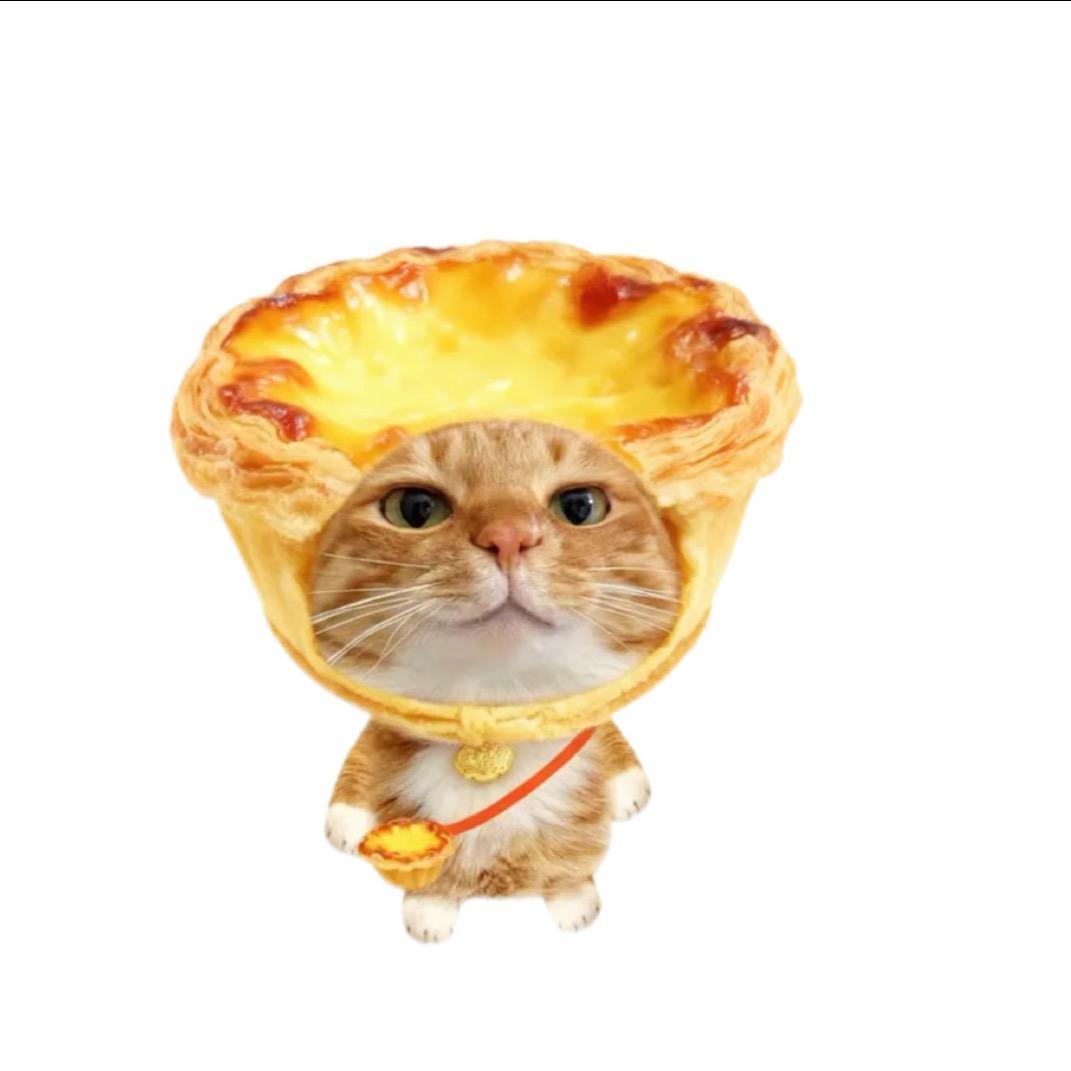 那咋了！？🍉🦴✈️