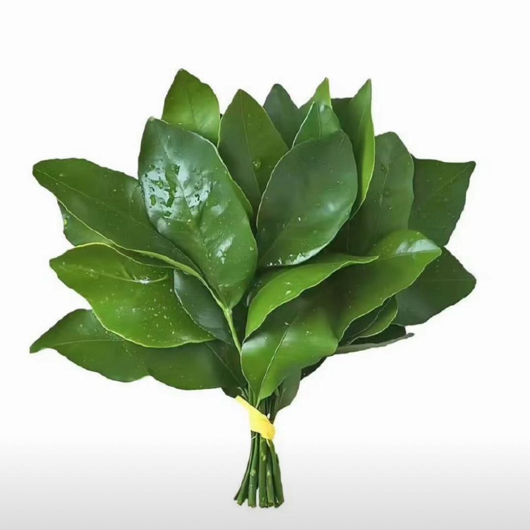 小蓝企鹅是世界上最小的企鹅