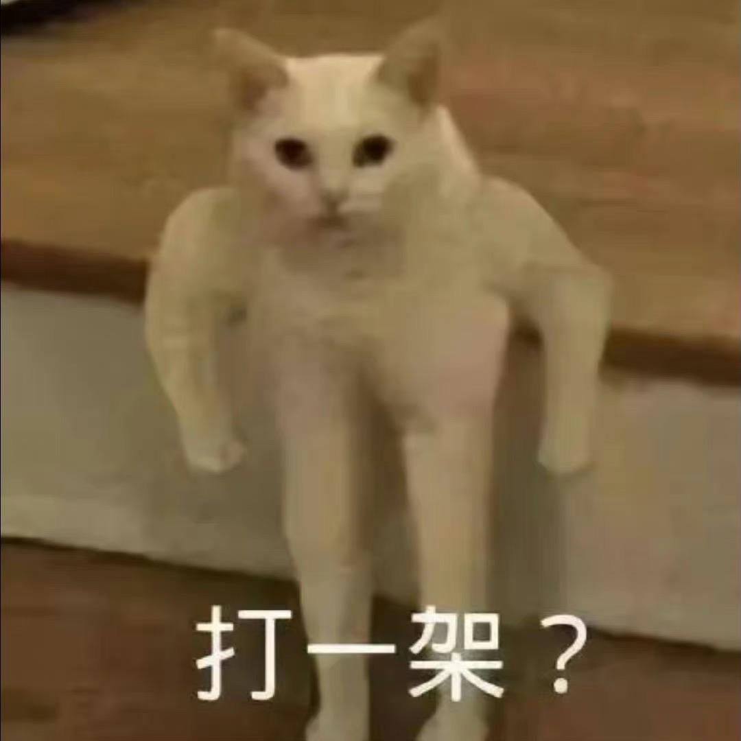 摆烂了