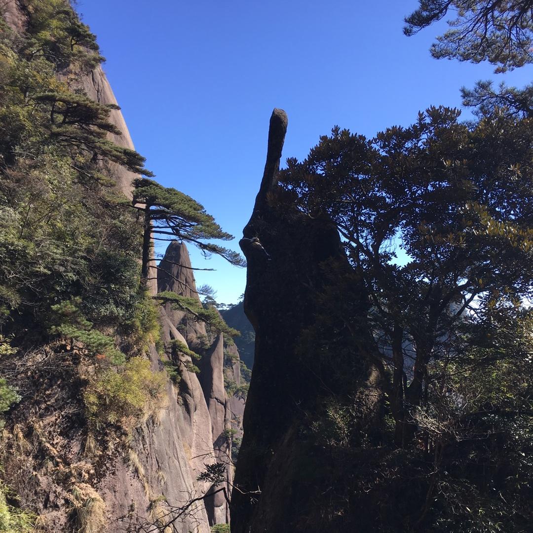 邹
