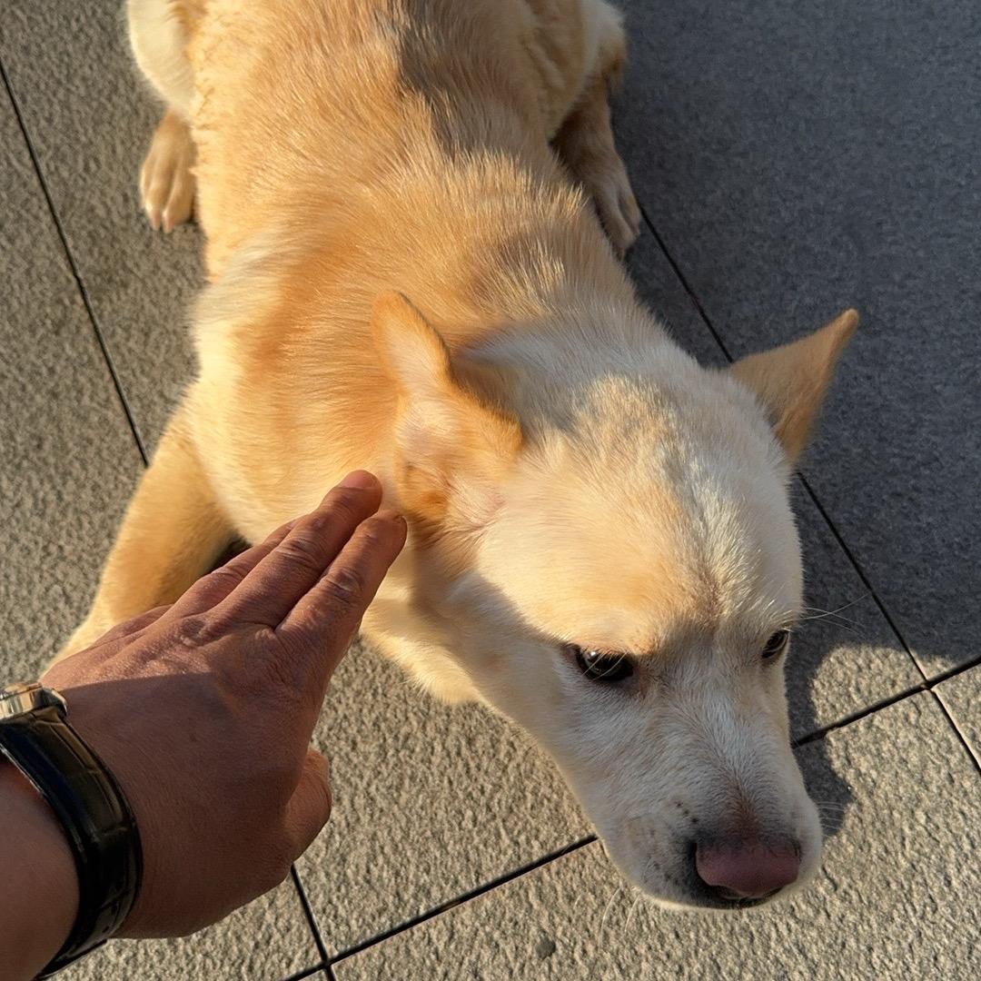 ㅤㅤ风曾续说温柔