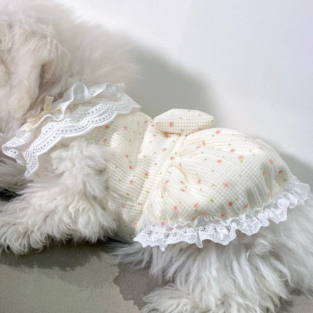 菜嫋與细豿多米