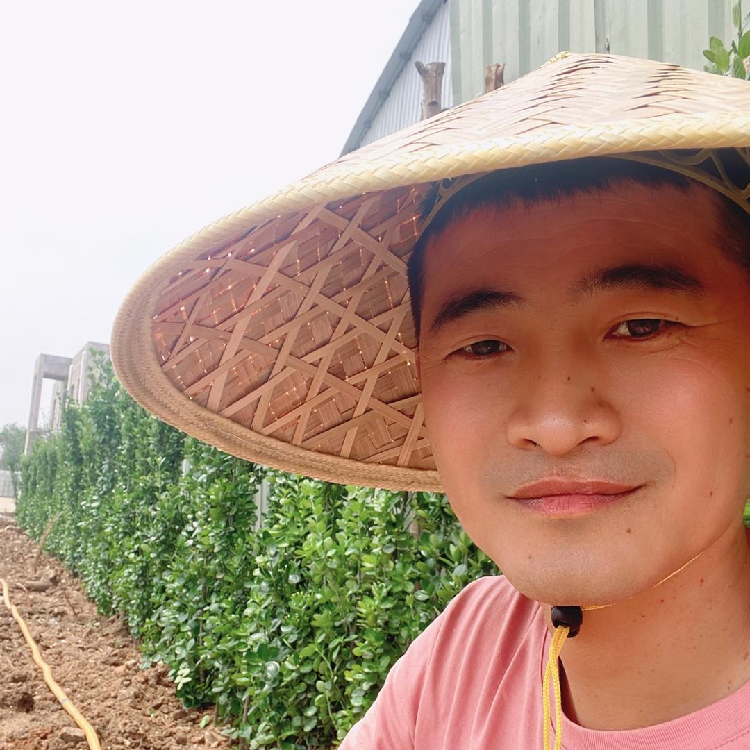 小白的农场