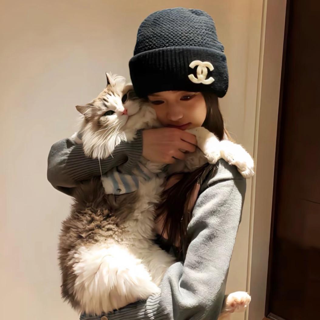 这只猫刷银行卡有优惠真好