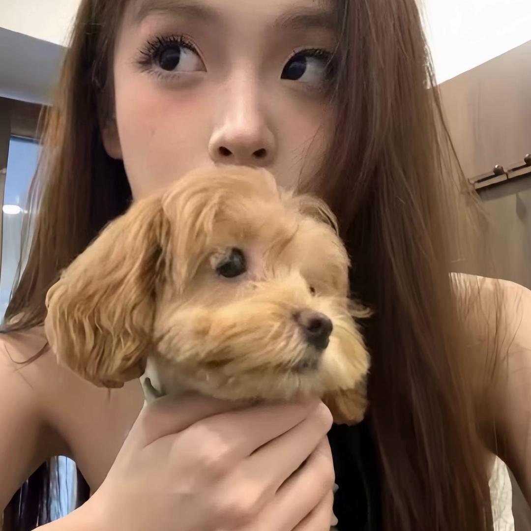小狗🐶