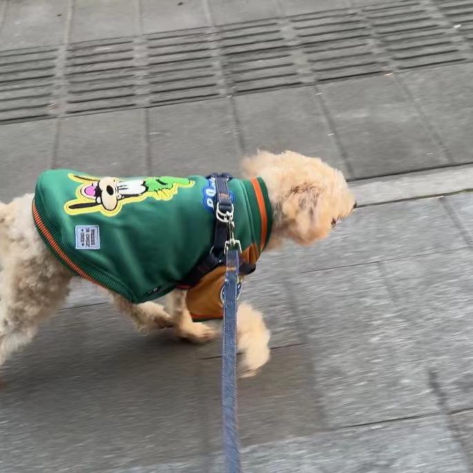 找狗 叫豆豆
