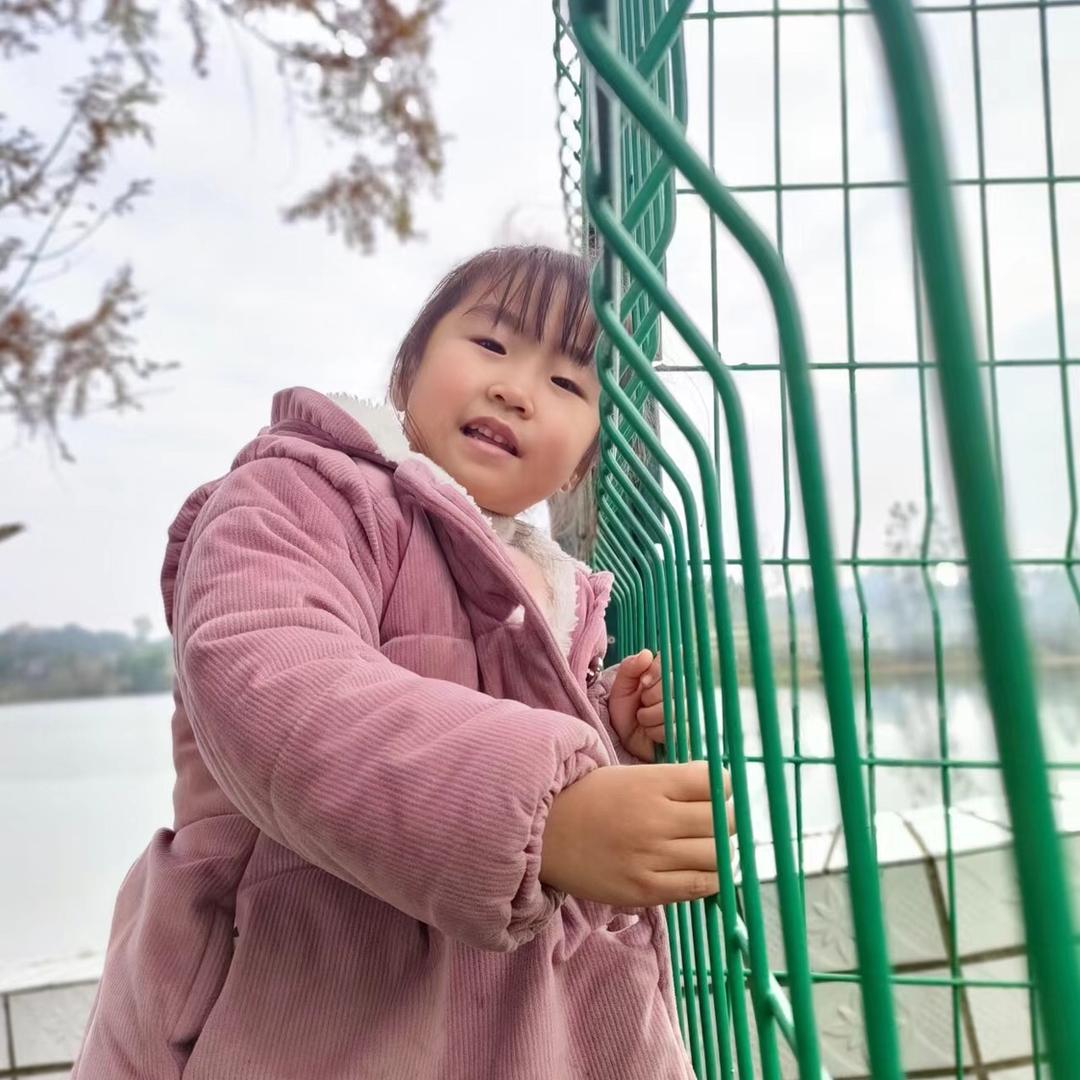 顶山芳姐烧烤店