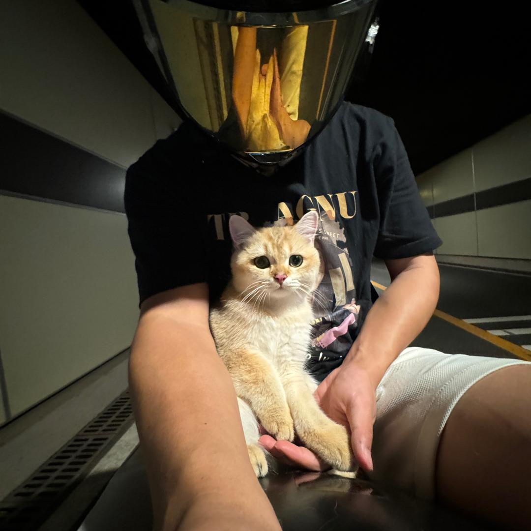 木子🏍️